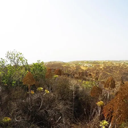 Noya Con Piscina Privada Сasa de vacaciones