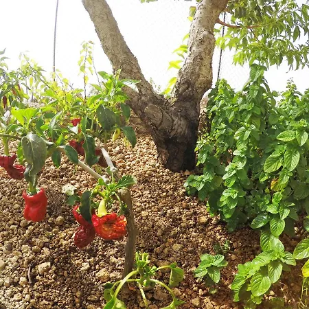 Сasa de vacaciones Noya Con Piscina Privada Santa Cruz de Tenerife