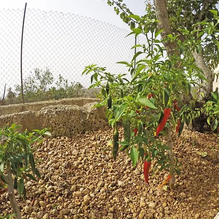 Сasa de vacaciones Noya Con Piscina Privada