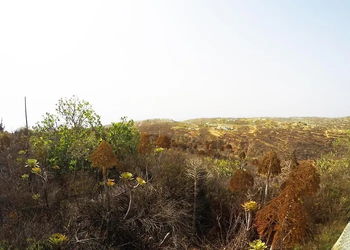 Noya Con Piscina Privada Дом отдыха