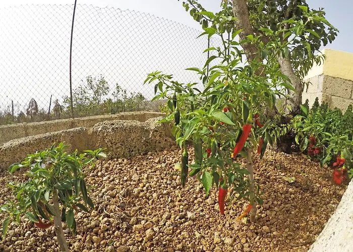 Casa vacanze Noya Con Piscina Privada